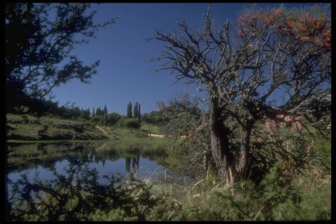 Reserva floro-paisajística
