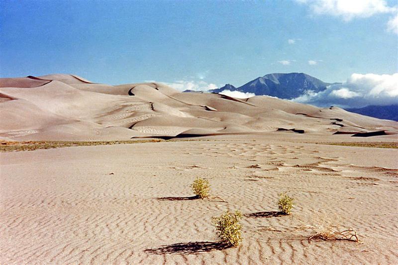 Desierto de arena