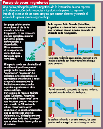 Esquema del pasaje de peces