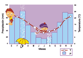 Gráfico de variaciones de temperatura durante un año