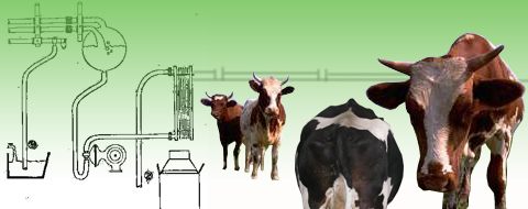 Produccin lechera en la Argentina