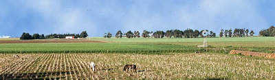Foto de paisaje rural