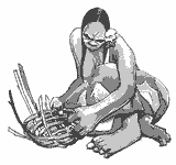 Cestería