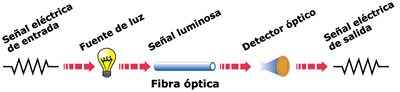 grafico