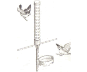 Pájaros aterrizando en comedero sobre un poste