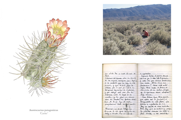 Lorraine Green, Apuntes sobre flora