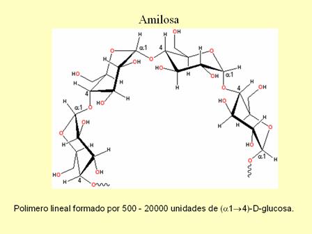 estructura del almidón amilosa y amilopectina