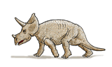 triceratops