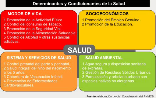 http://municipios.msal.gov.ar/img/determinantes.jpg