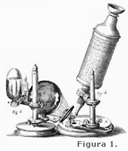 Microscopio compuesto del siglo XVII