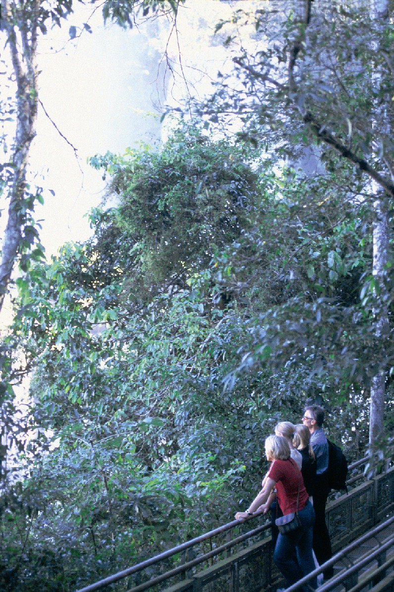 Mirador del Parque Nacional Iguazú