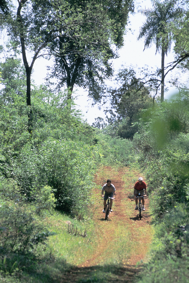 Ciclistas en la selva misionera