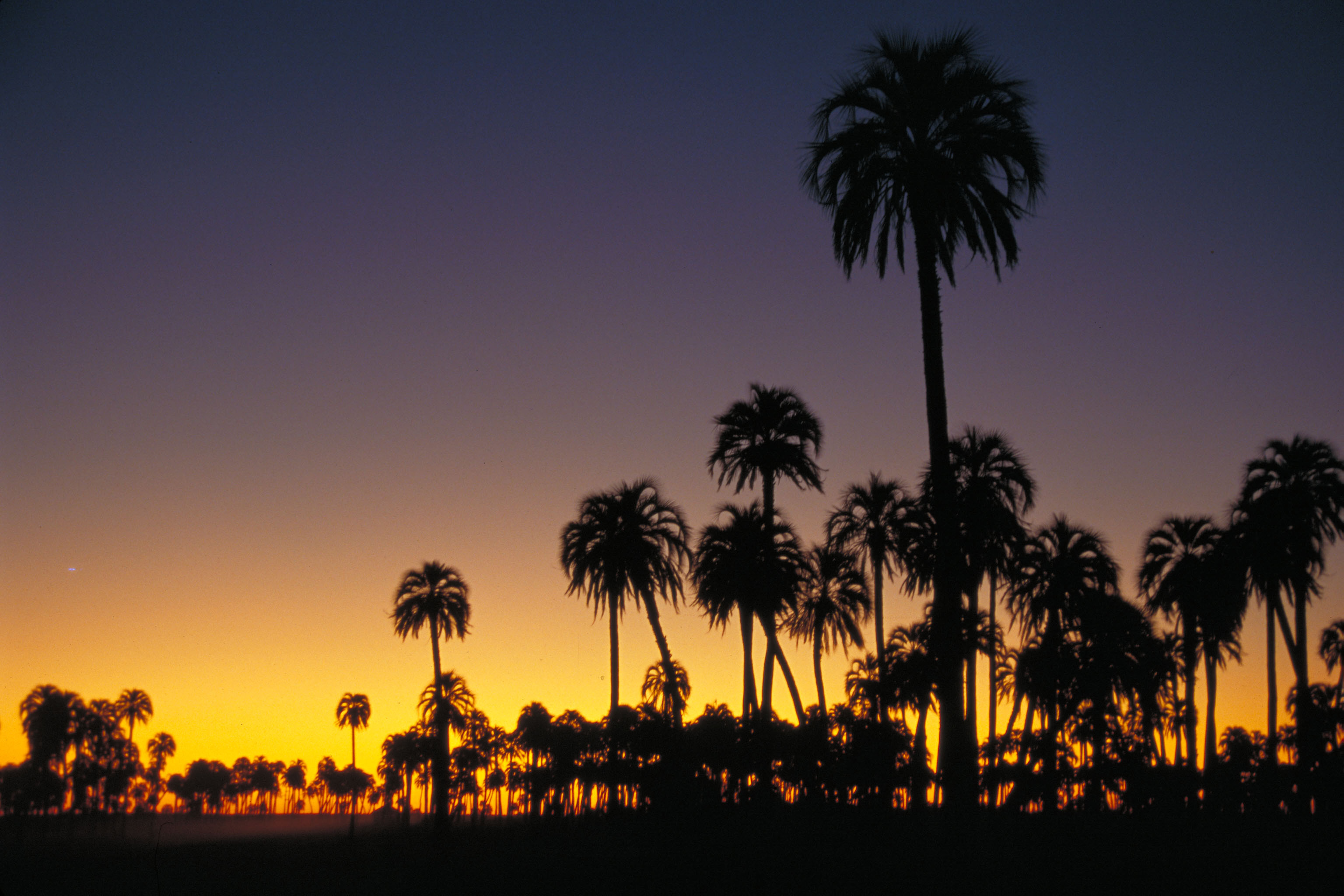 El Palmar, Entre Ríos