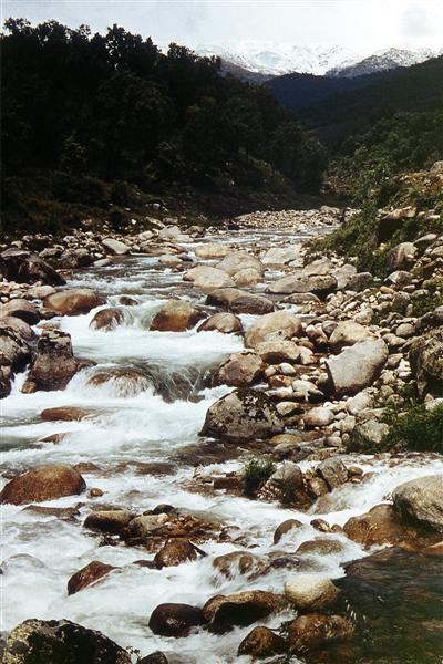 Erosión producida por un torrente