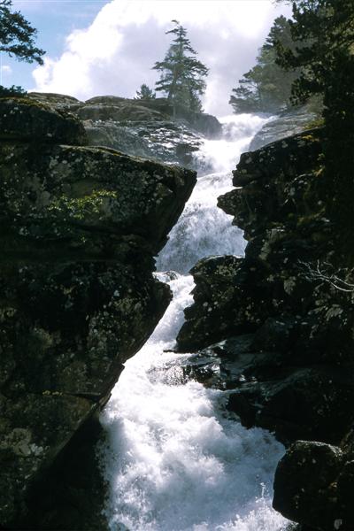 Acción de las aguas salvajes