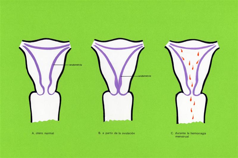 Menstruación