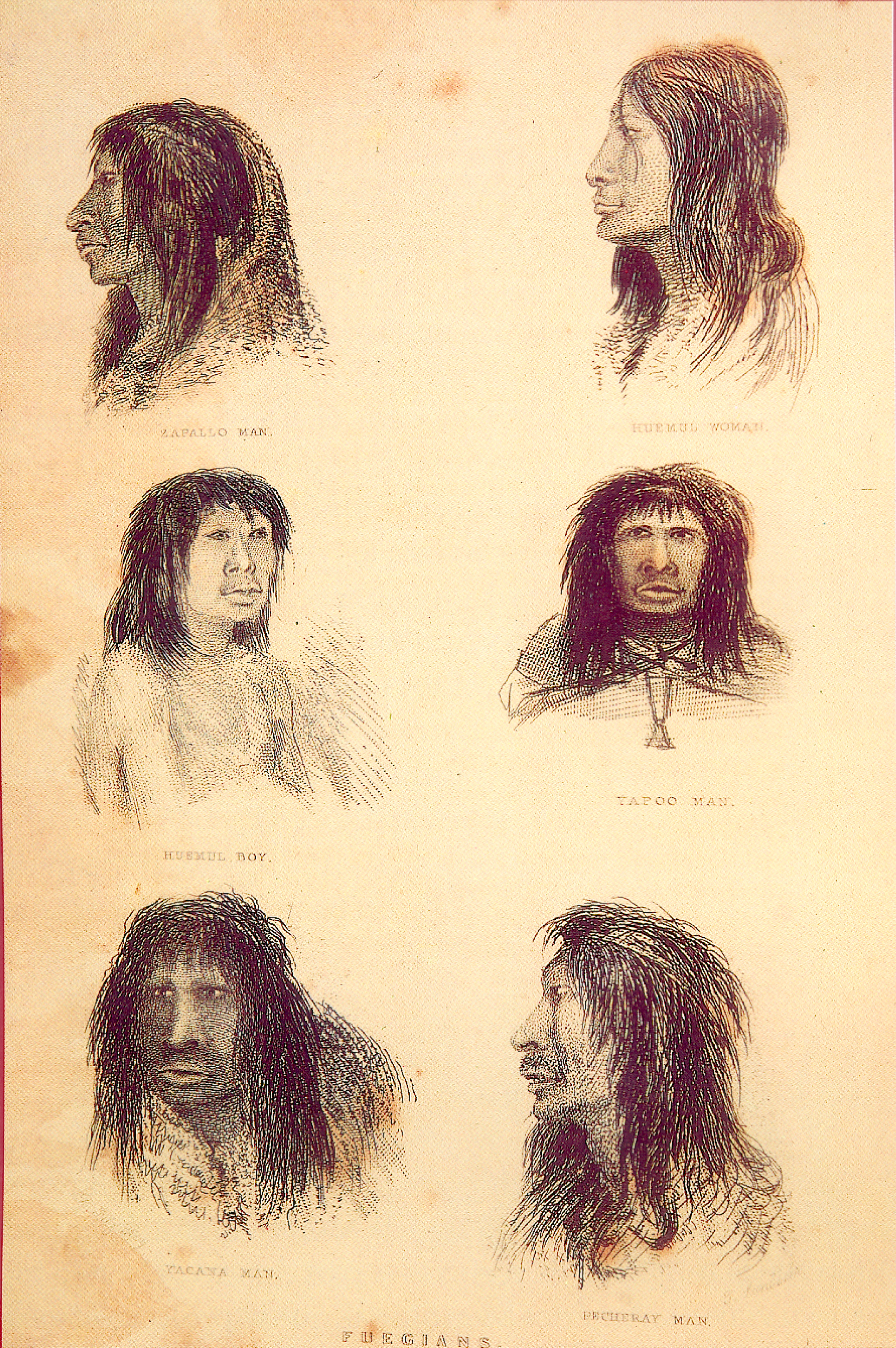 Fueguinos