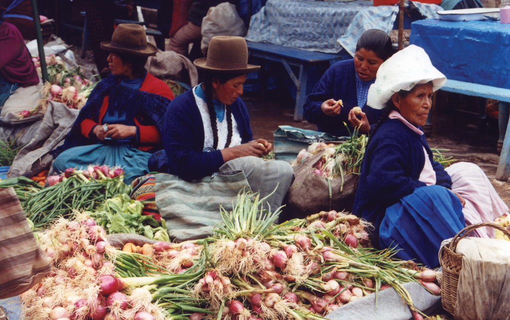 Mercado cooperativo, Perú