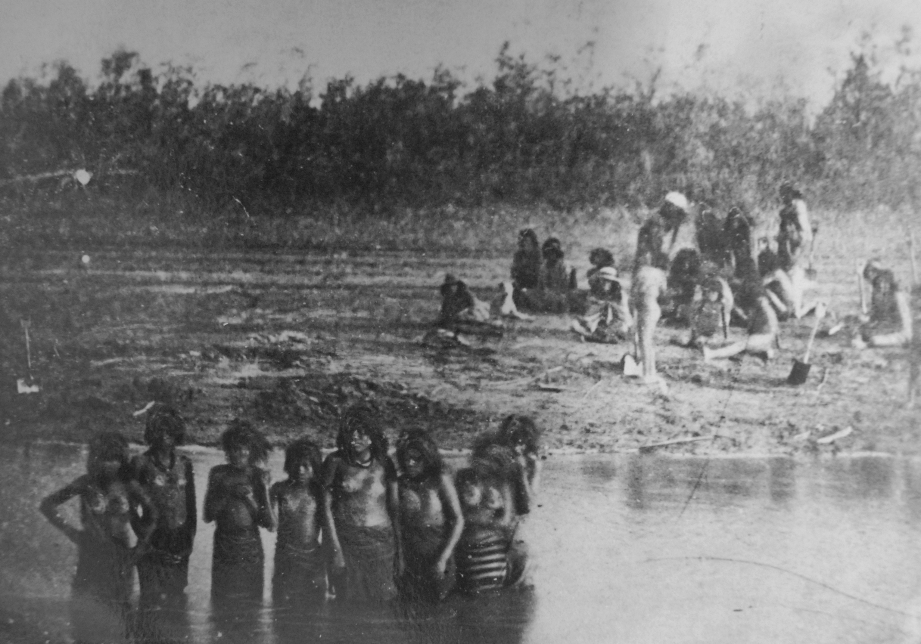 CAMPAÑA DEL DESIERTO