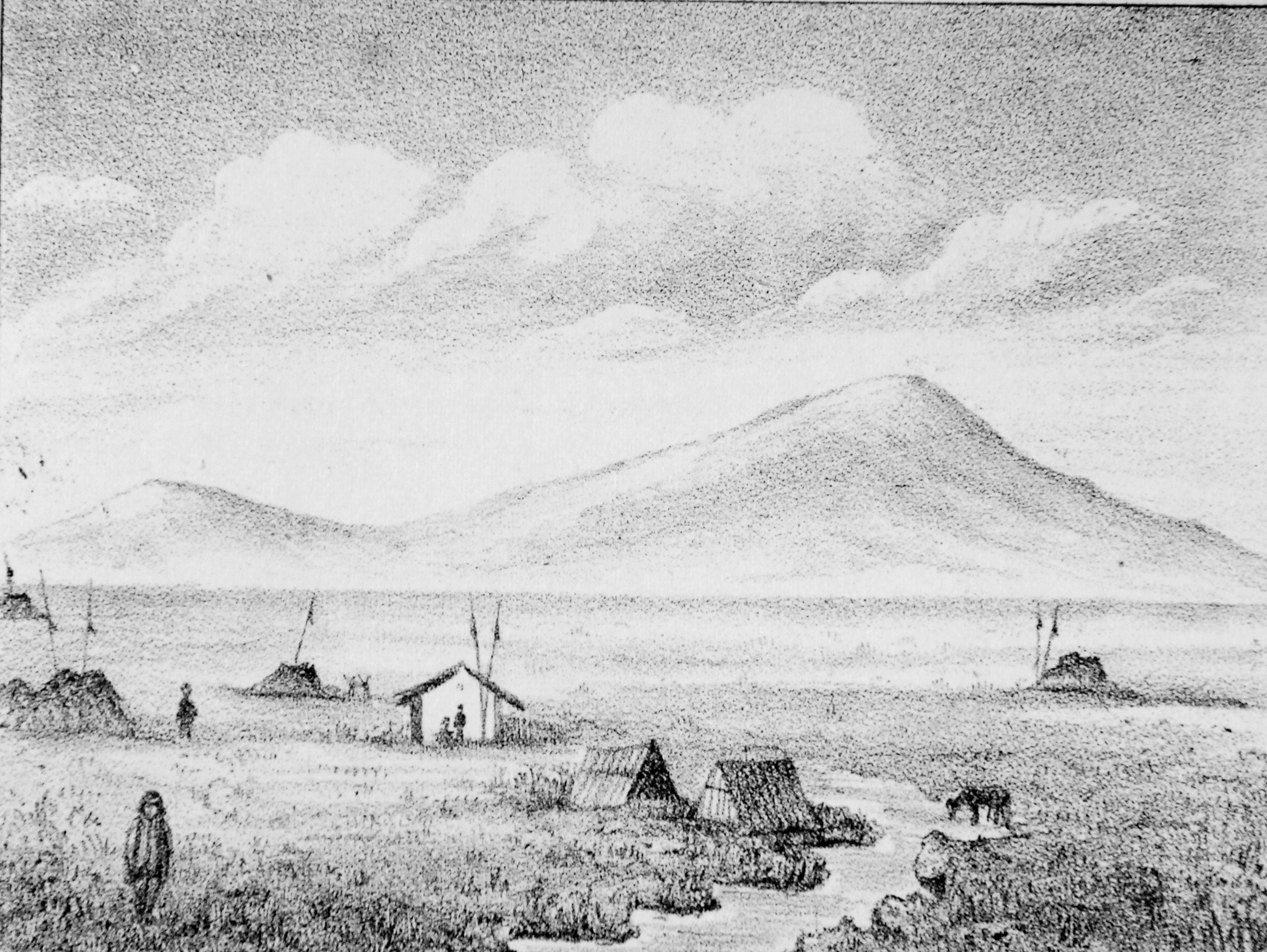 CAMPAÑA DEL DESIERTO