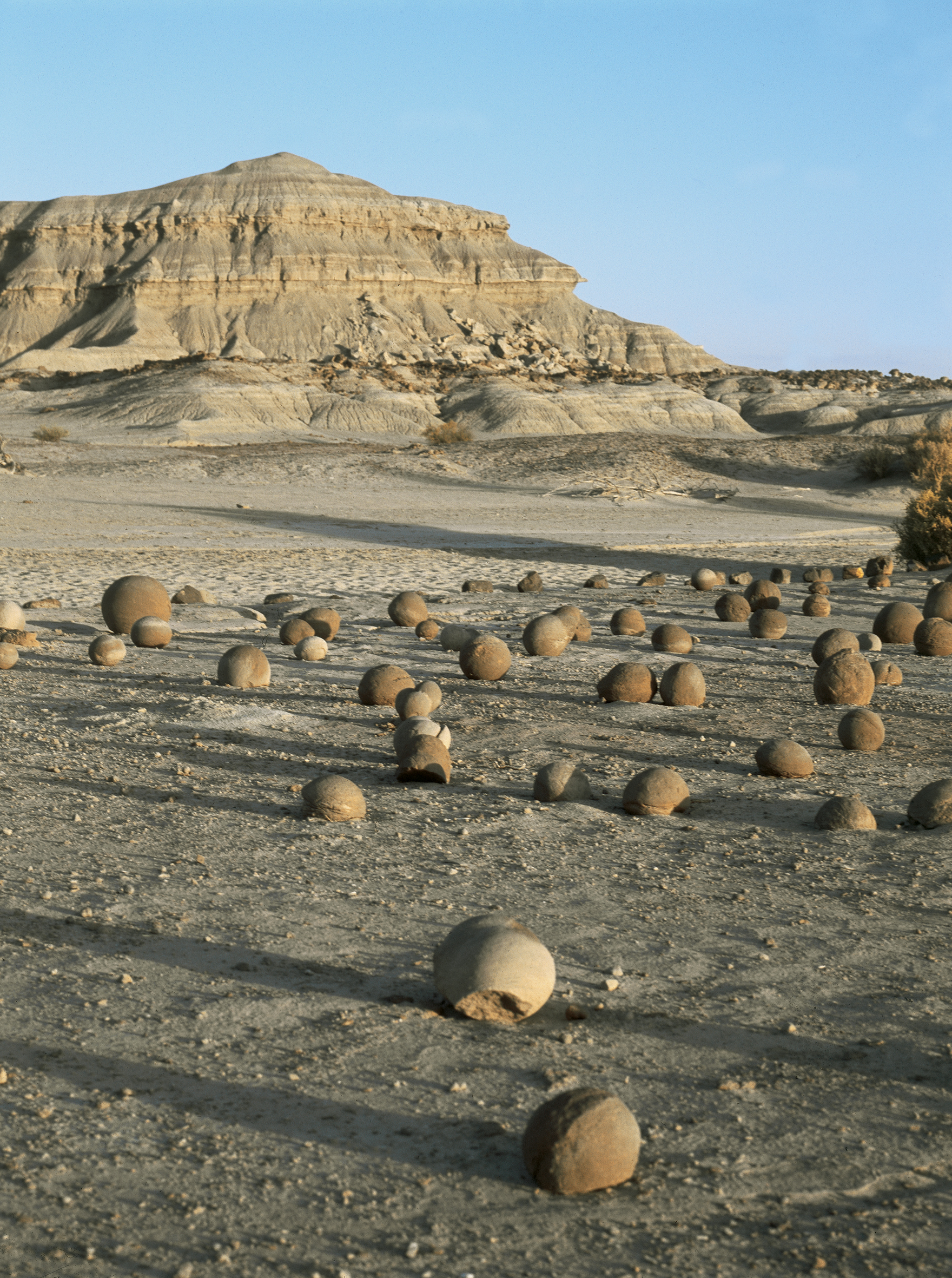 Ischigualasto