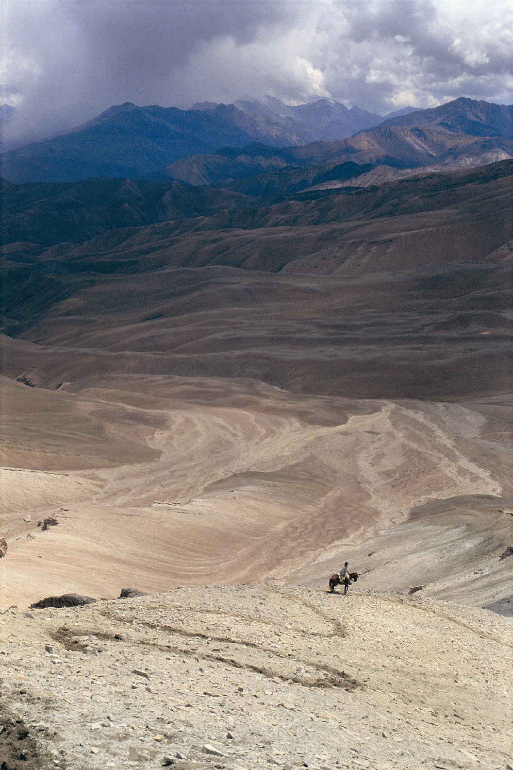 Cabalgata