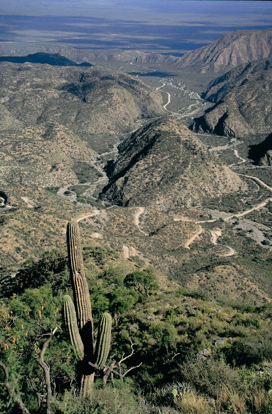 Cuesta del Portezuelo