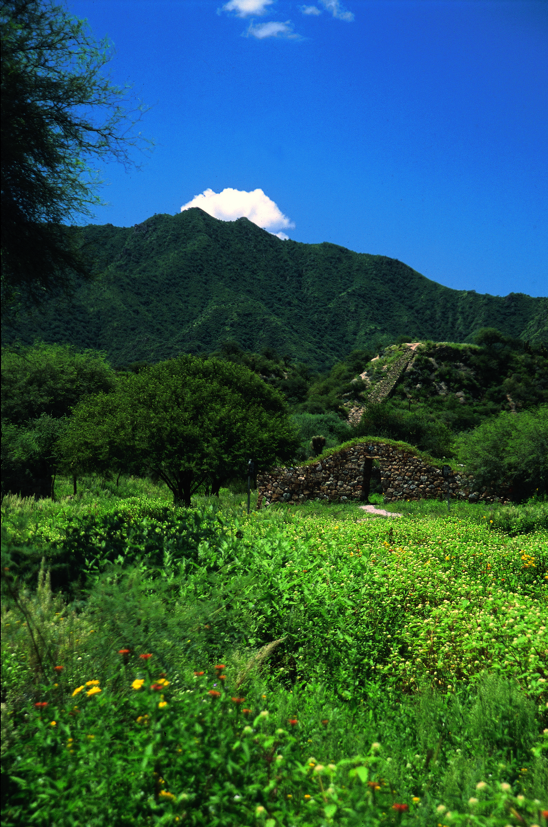 El Shincal