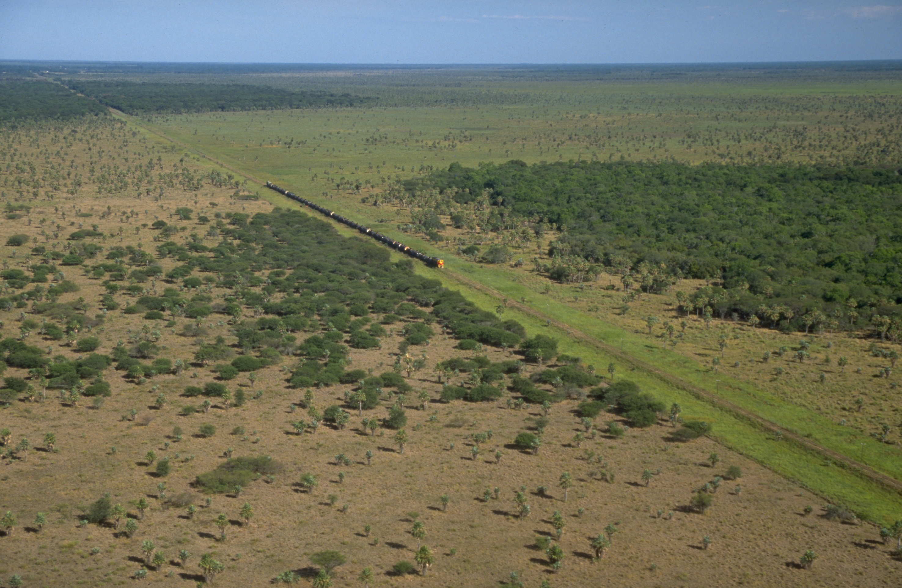 Selva en la provincia de Formosa