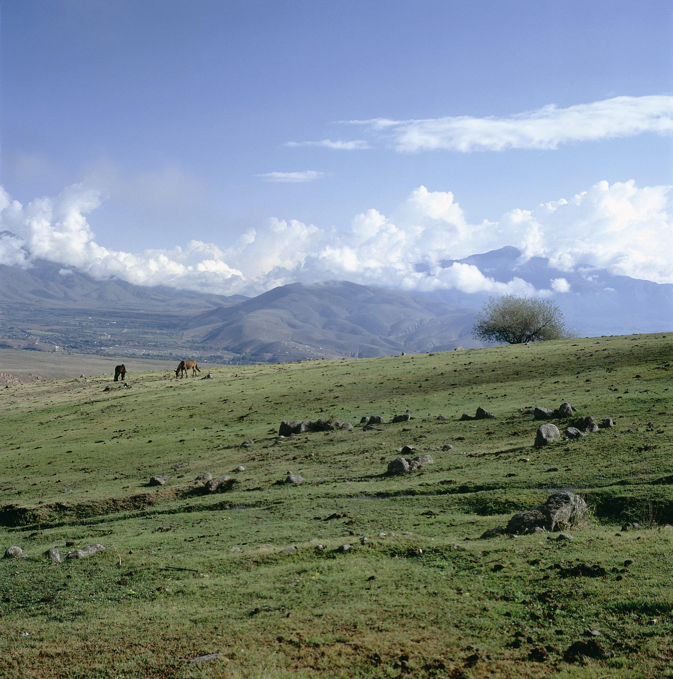 Paisaje de Tafí del Valle