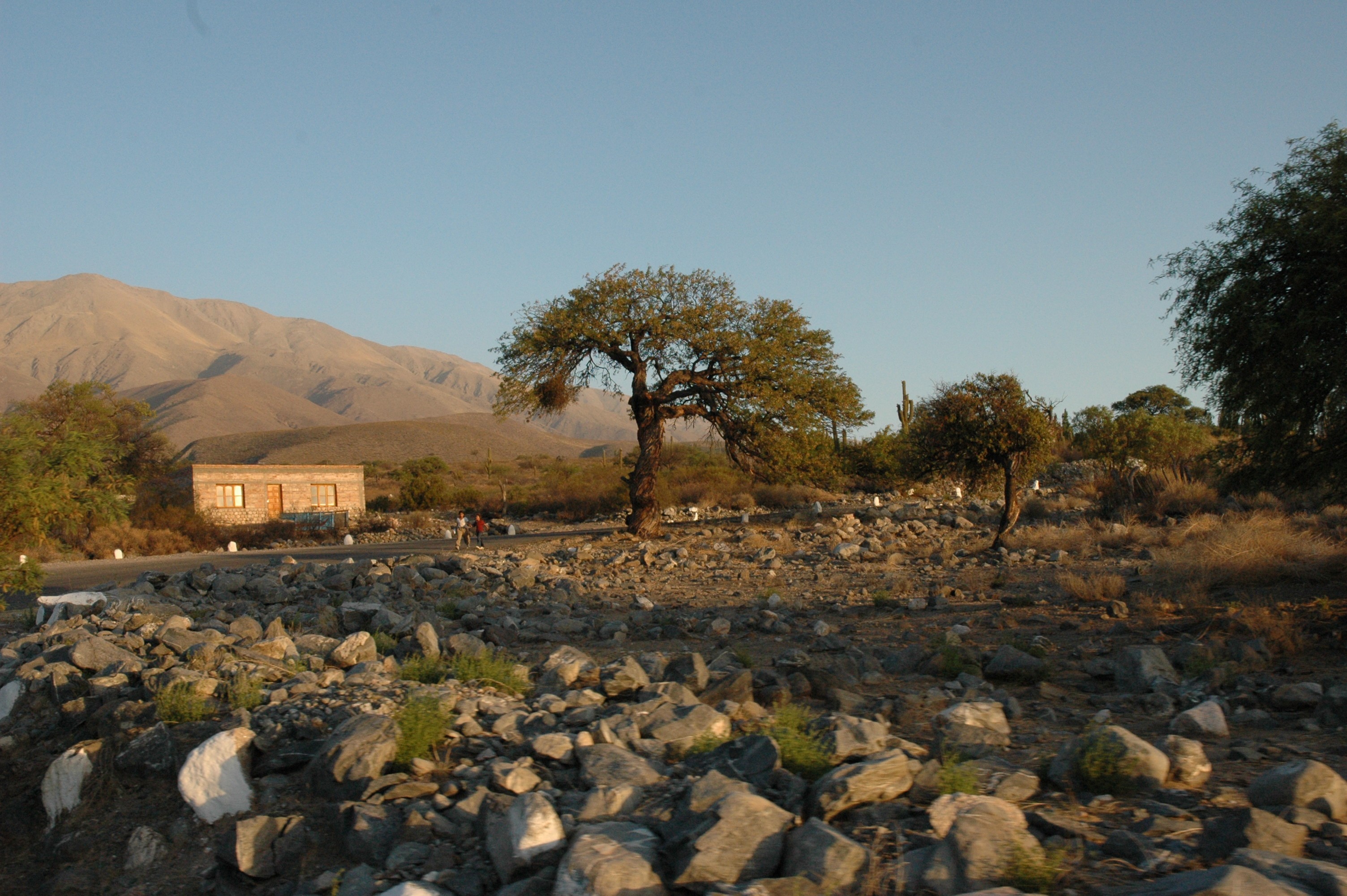 Hacia Tafí del Valle