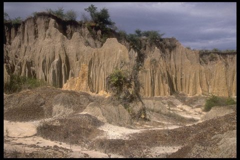 Barrancas del Empedrado