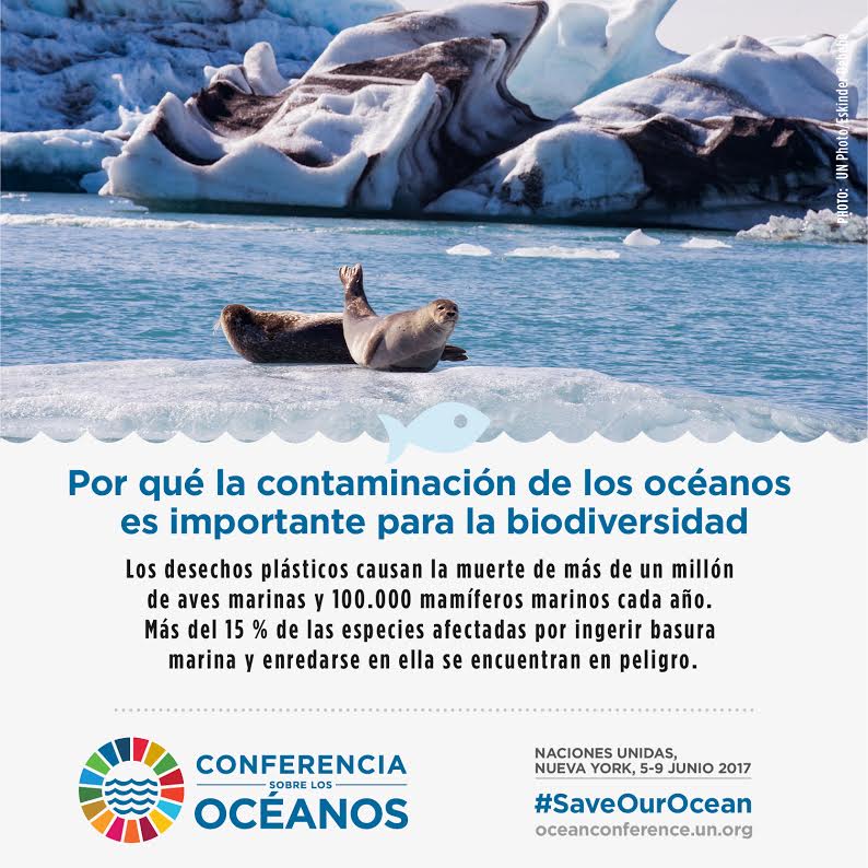 Afiches sobre el Día Mundial de los Océanos