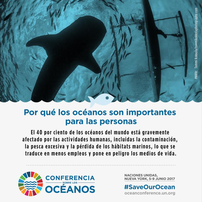 Afiches sobre el Día Mundial de los Océanos