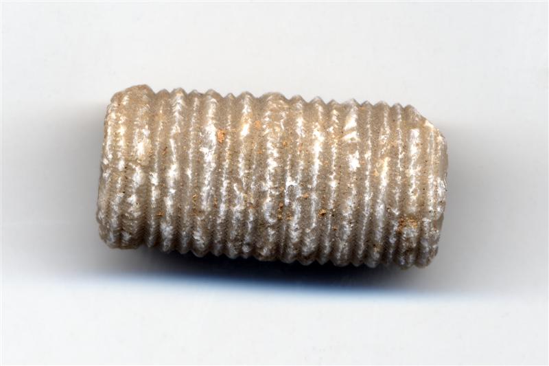 Crinoideos. Devónico