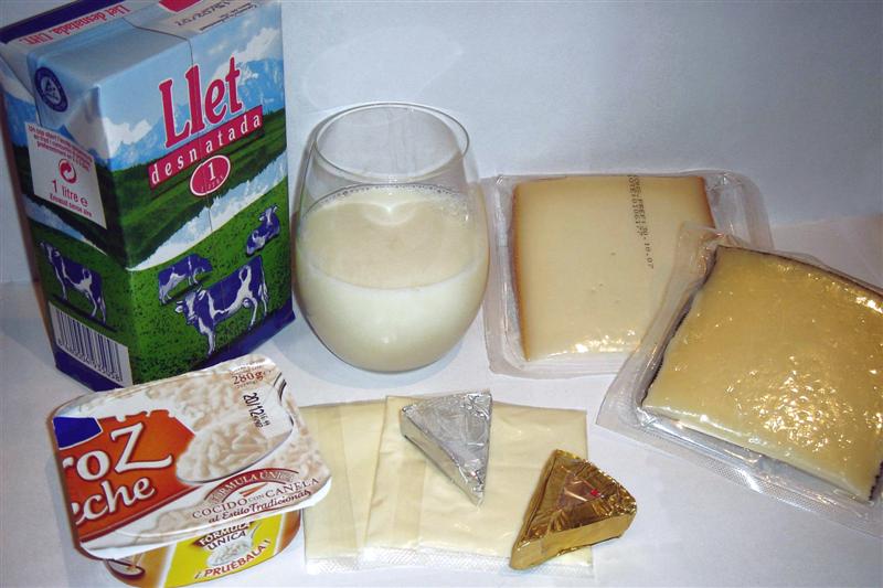 Tipos de leche y derivados
