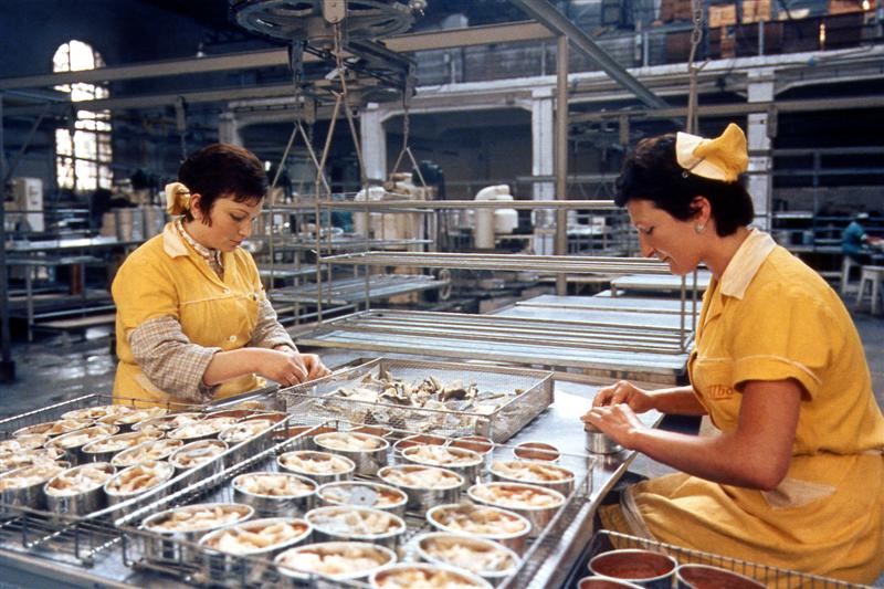 Industria derivada de la pesca