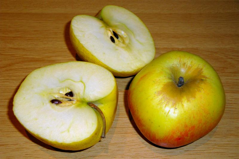 Manzana