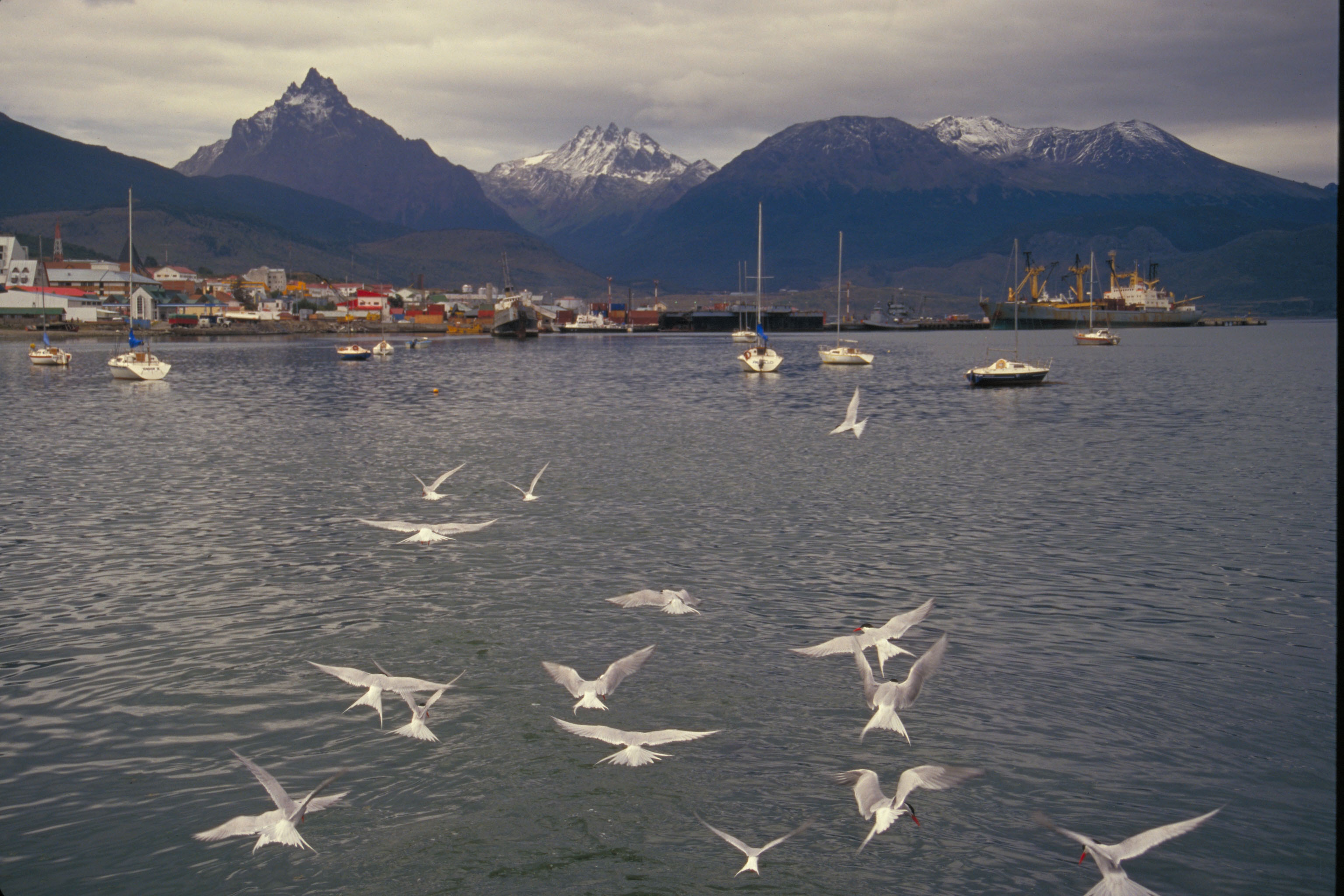 Bahía de Ushuaia