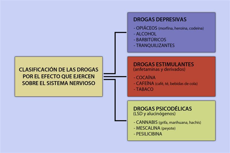 Clasificación de las drogas