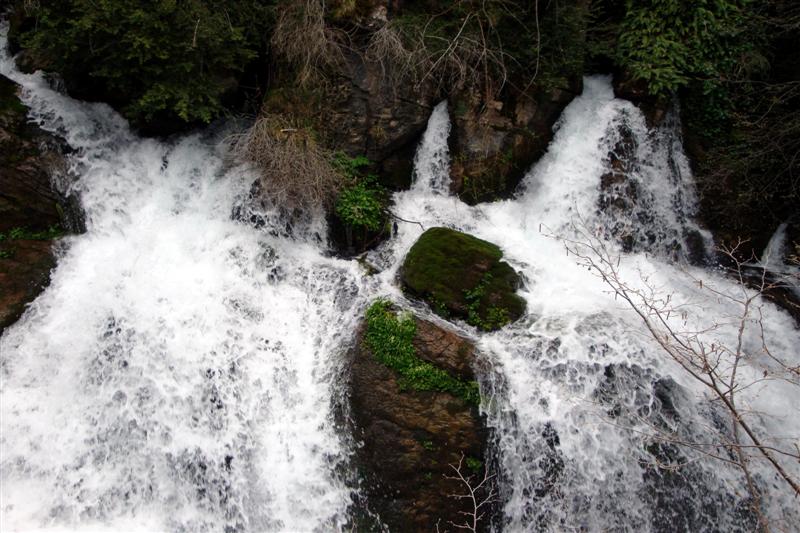 Cascada