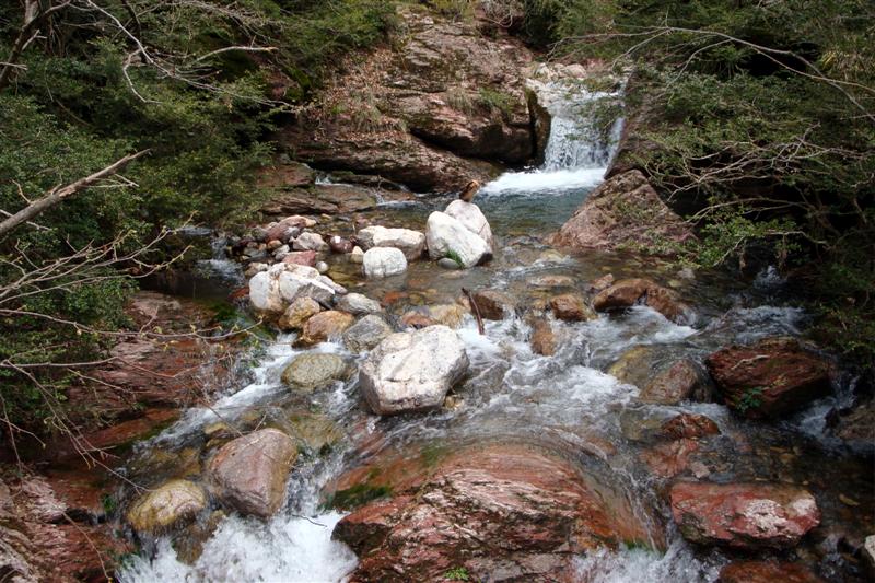 Erosión producida por un torrente