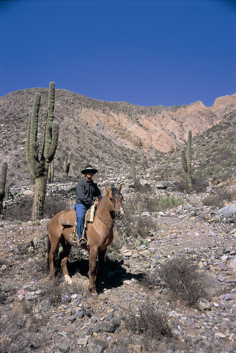Cabalgata  en Tilcara