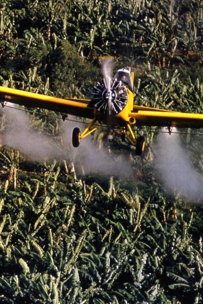 Agricultura intensiva