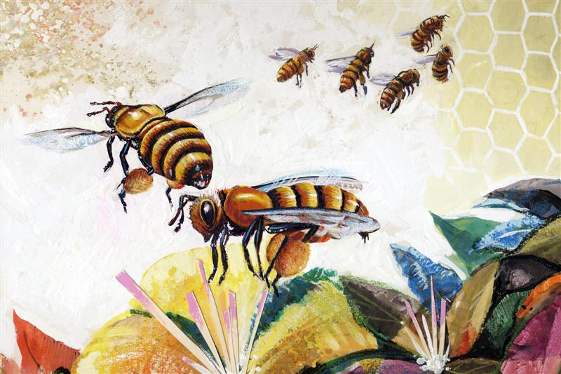 Abeja