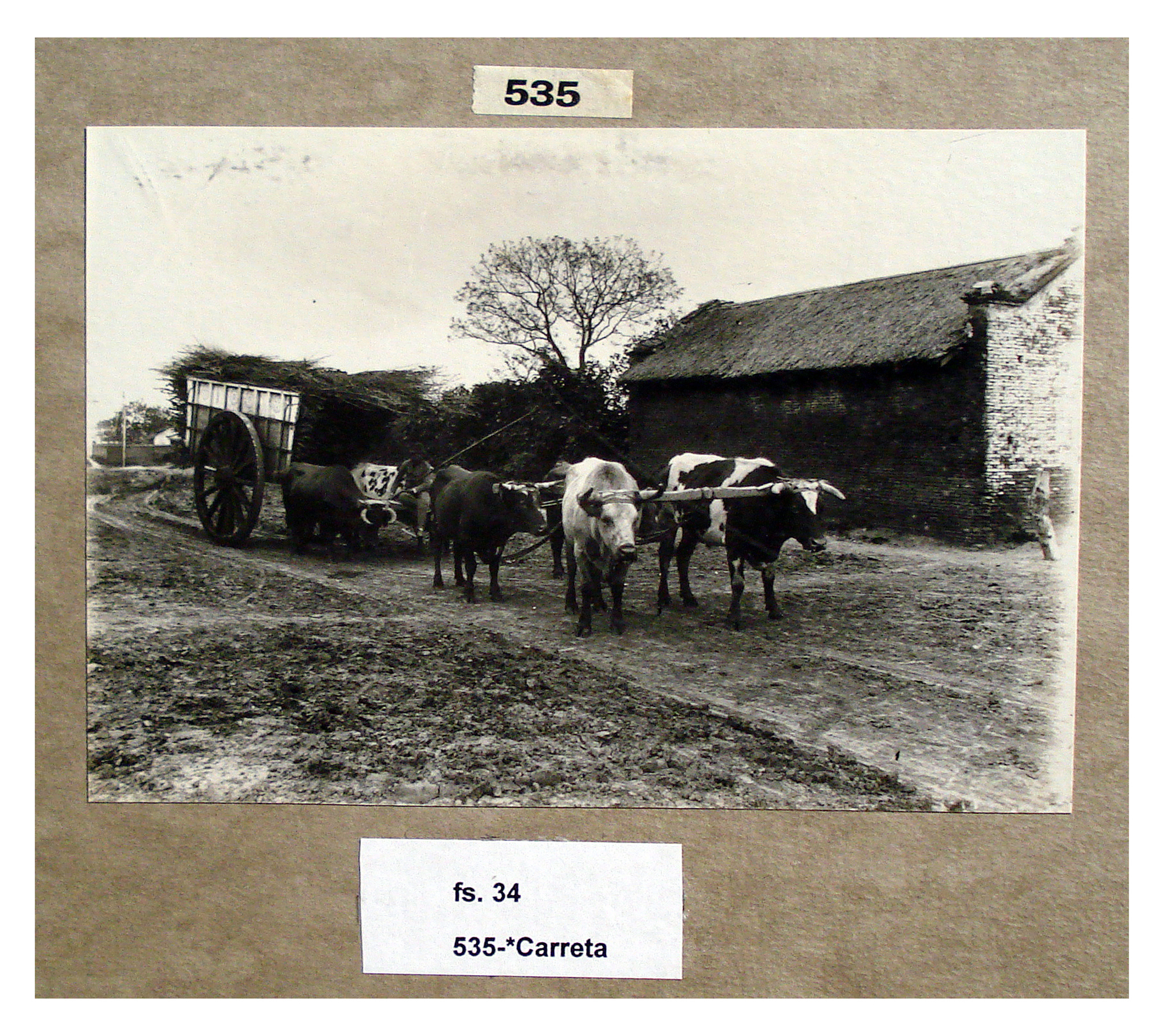 Carreta