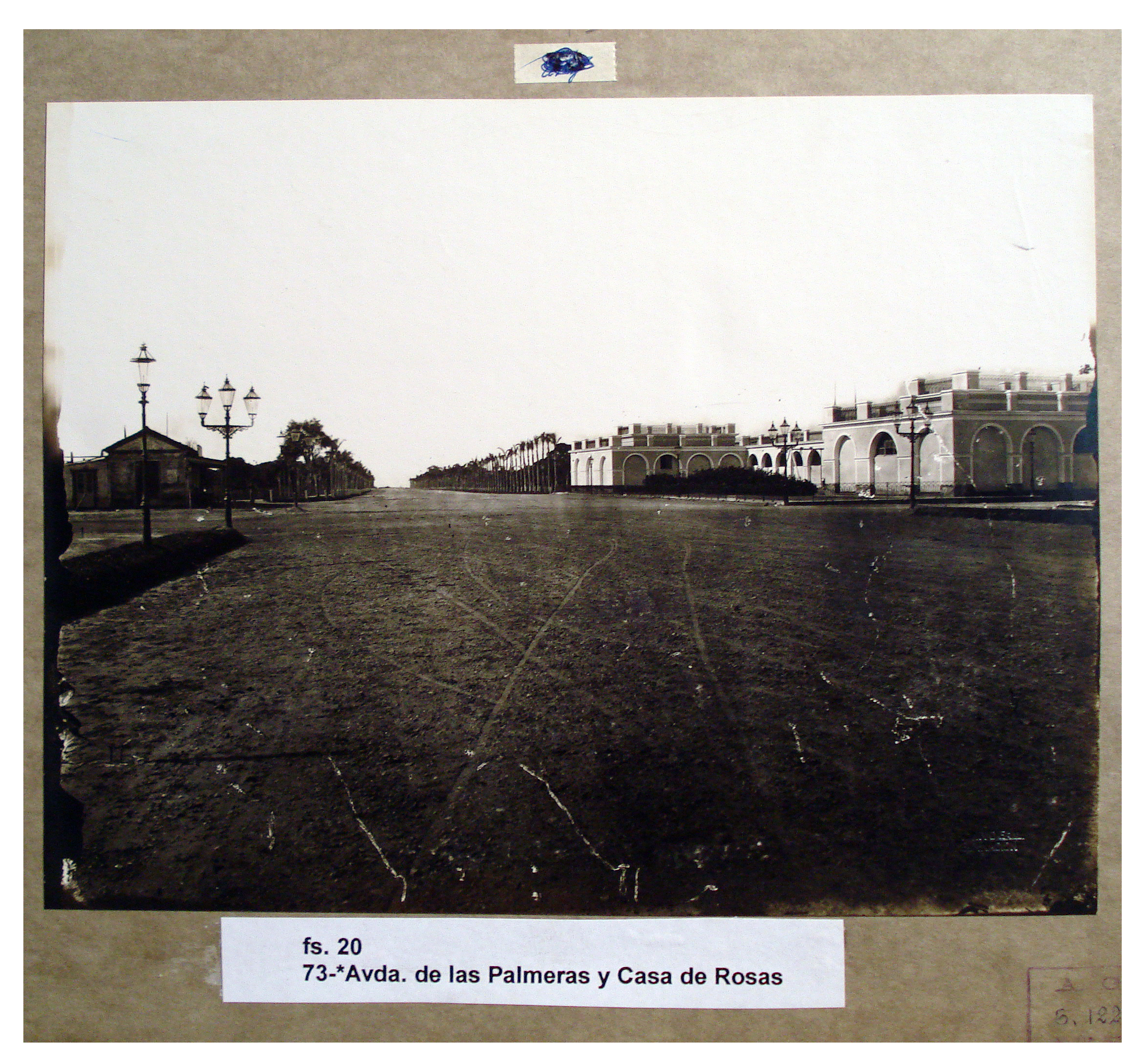 Avenida de las Palmeras y casa de Rosas