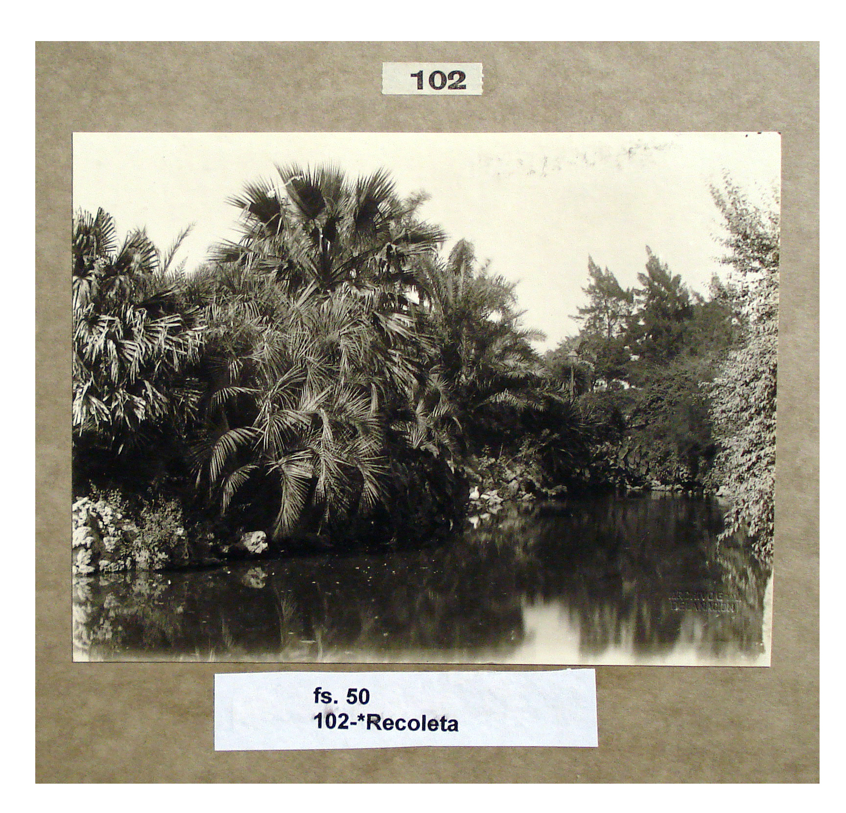 Lago en Recoleta