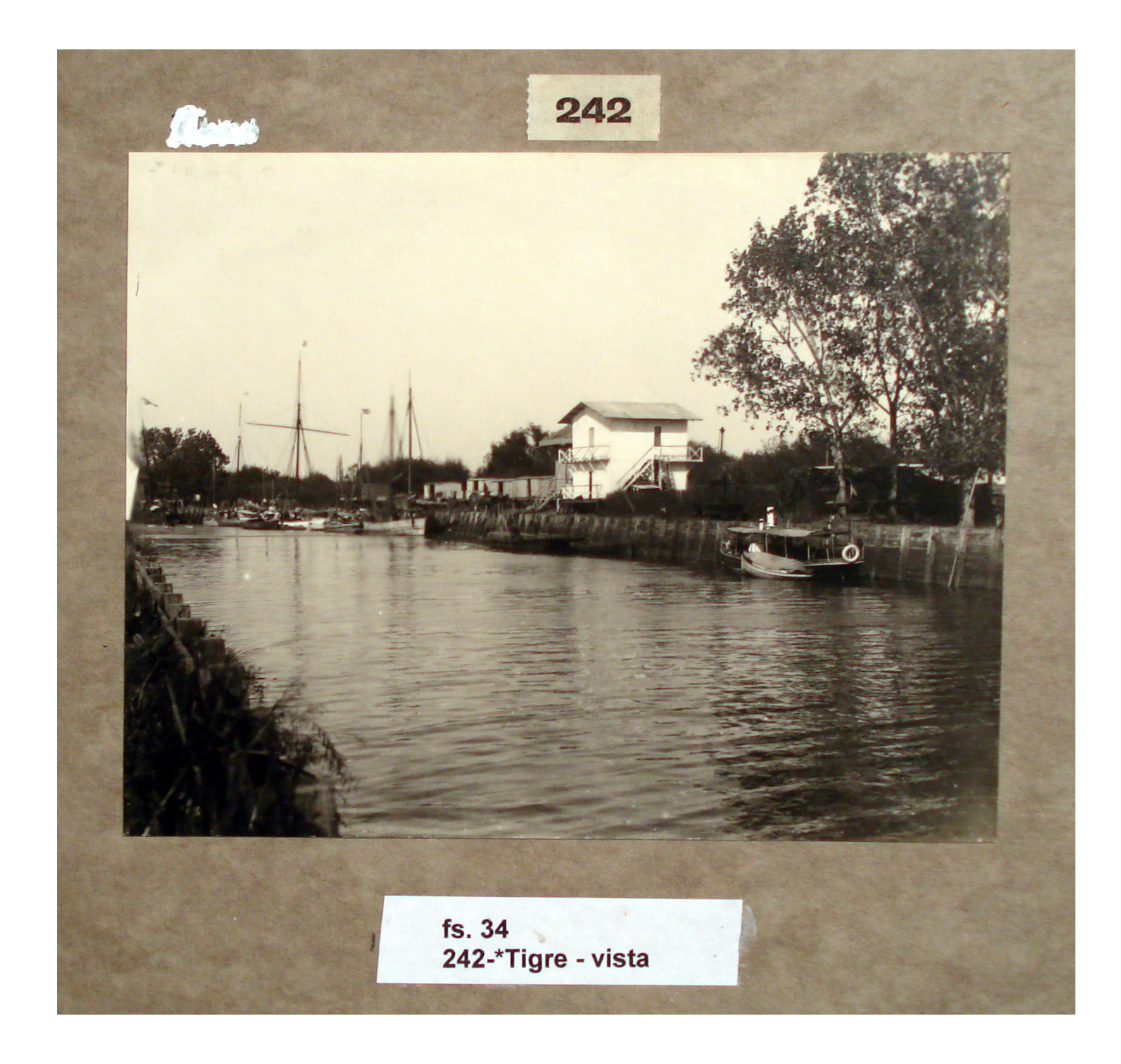 Tigre