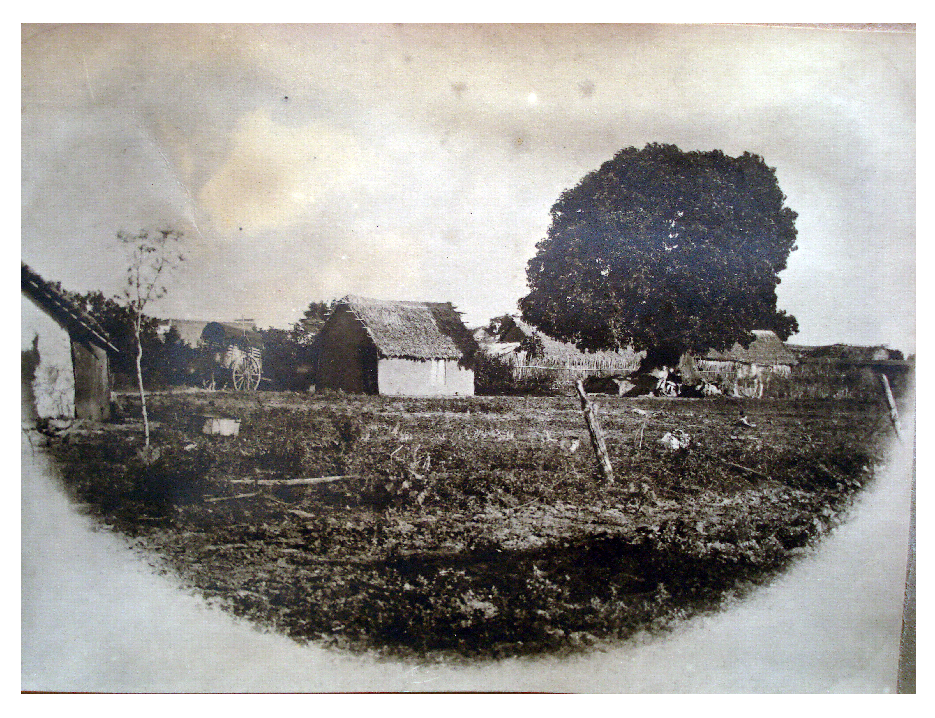 Paisaje campero